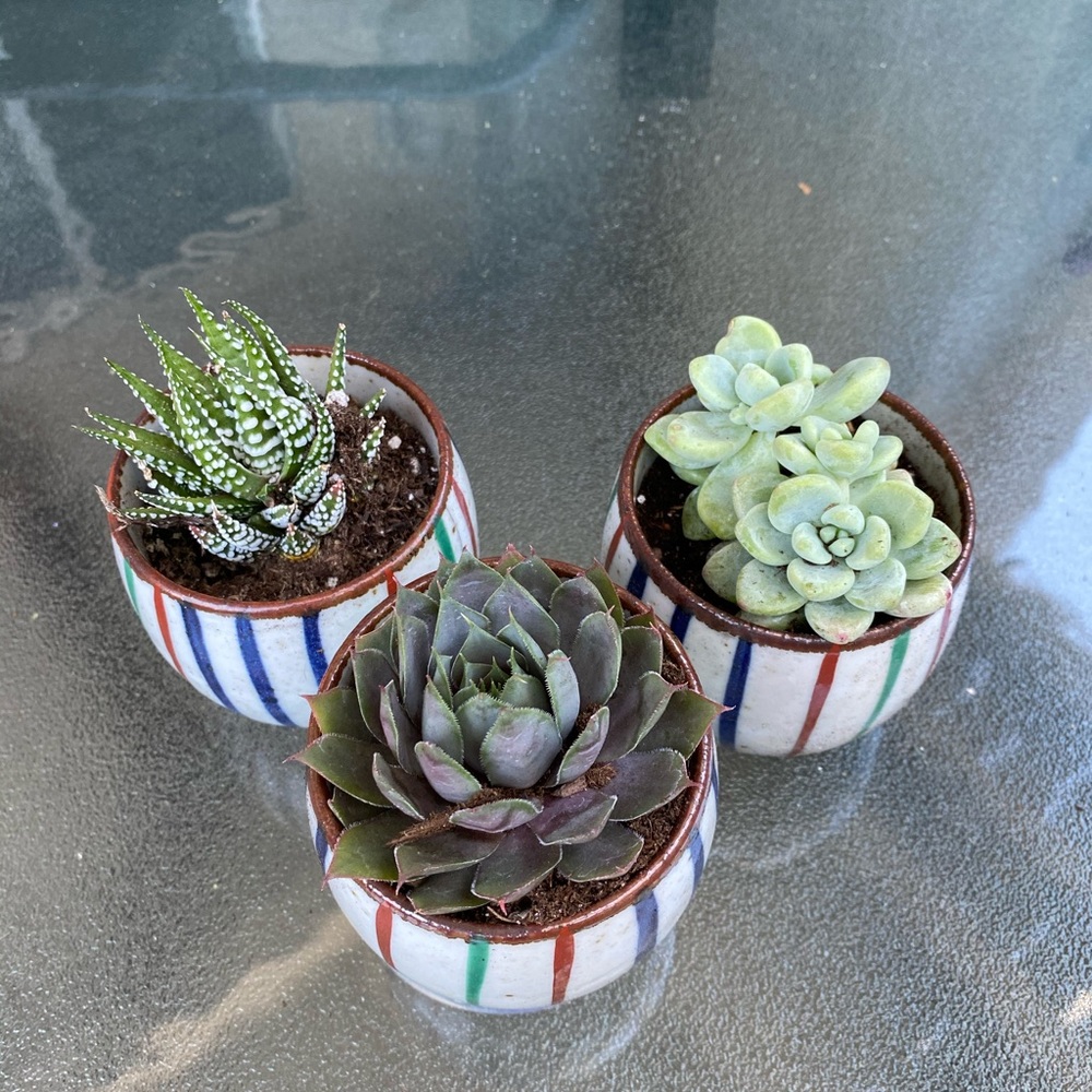 Meet your Posher, Kait